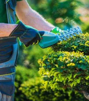 Landscaping Services